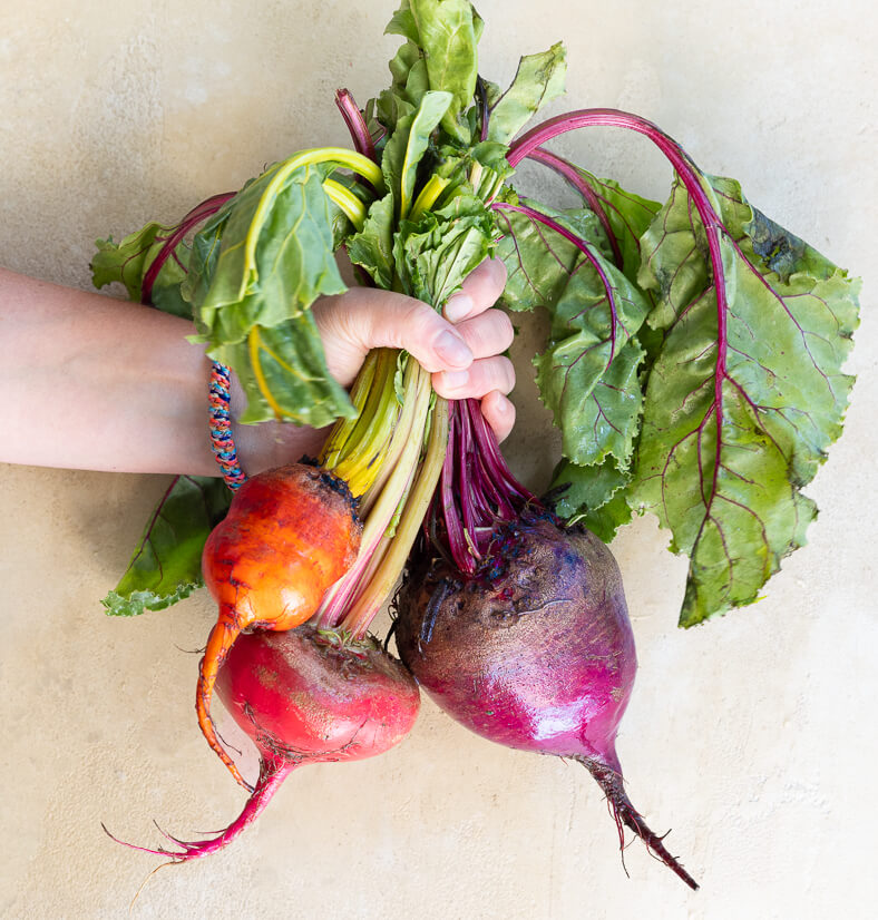 Renziehausen Foodfotografie bunte Beeten